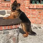Siedlisko Na Gorce
