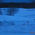 Siedlisko Na Gorce Zalec
