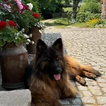 Casa de Férias Siedlisko Na Górce *