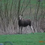 Siedlisko Na Gorce *