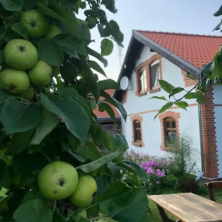 Dom wakacyjny Siedlisko Na Górce Zalec