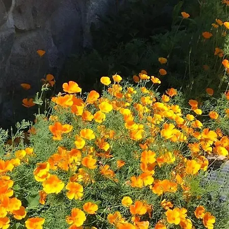 Siedlisko Na Gorce * Zalec