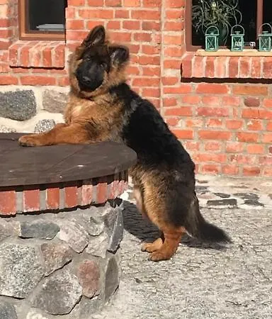 Siedlisko Na Górce