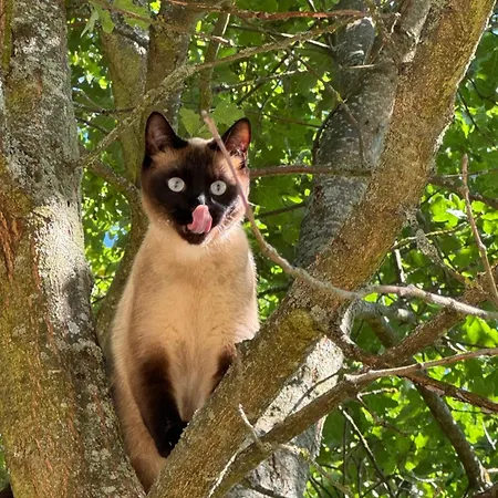 Siedlisko Na Gorce Prázdninový dům