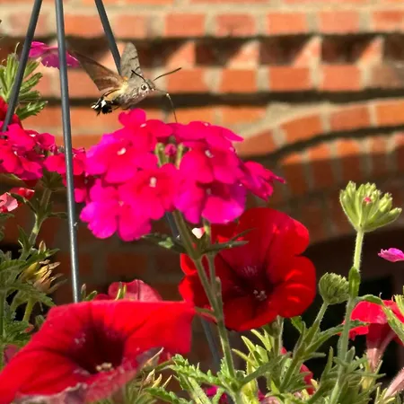 Prázdninový dům Siedlisko Na Gorce Zalec
