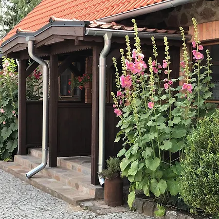 Siedlisko Na Górce Zalec