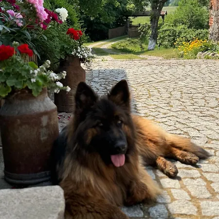 Dom wakacyjny Siedlisko Na Górce *