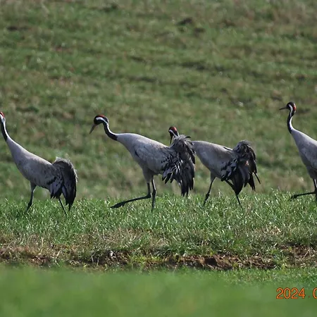 Siedlisko Na Gorce Prázdninový dům Zalec