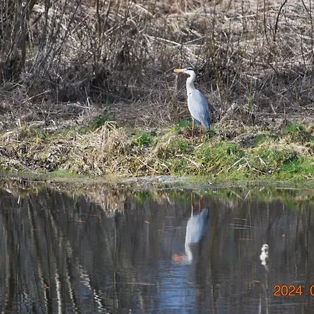 Siedlisko Na Gorce Prázdninový dům Zalec