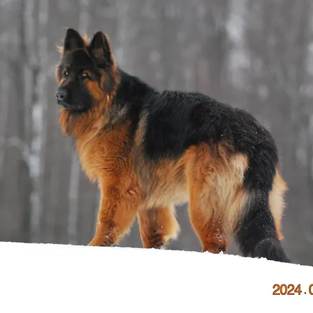 Prázdninový dům Siedlisko Na Gorce Zalec