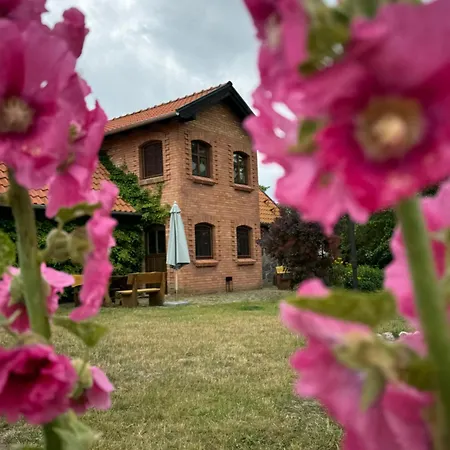 Siedlisko Na Górce Zalec