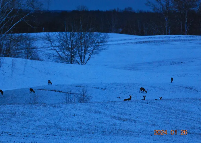 Siedlisko Na Gorce Zalec