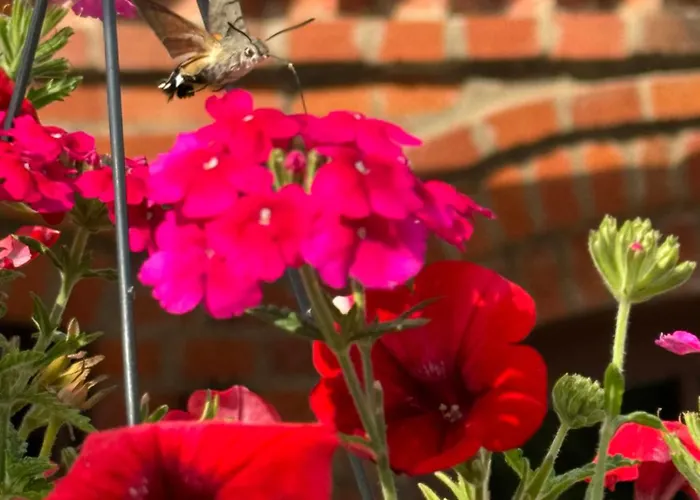 Holiday home Siedlisko Na Gorce Zalec