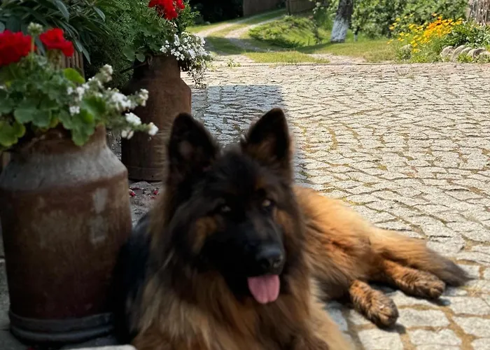 Holiday home Siedlisko Na Gorce *