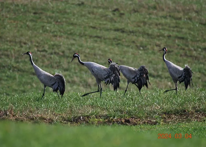 Siedlisko Na Gorce Holiday home Zalec