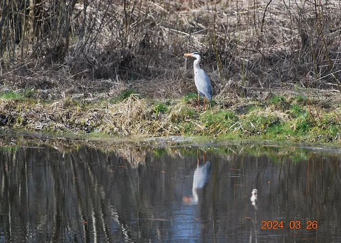 Siedlisko Na Gorce Holiday home Zalec