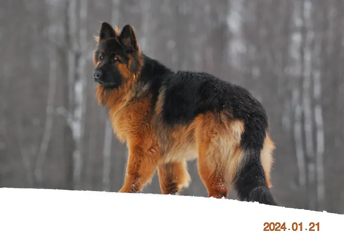 Holiday home Siedlisko Na Gorce Zalec