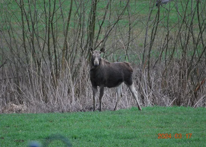 Siedlisko Na Gorce *